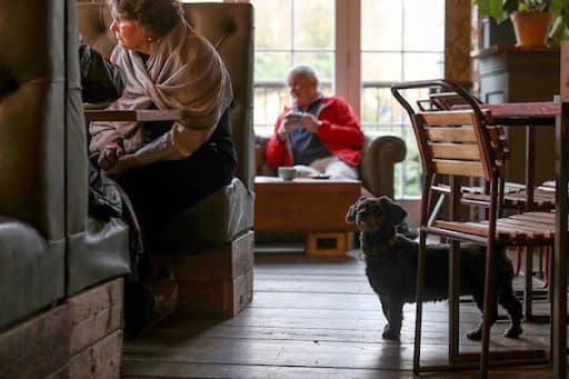 Interior of The Mooring Café with guests and a dog on the wooden floor
