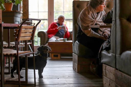 Interior of The Mooring Café with guests and a dog on the wooden floor