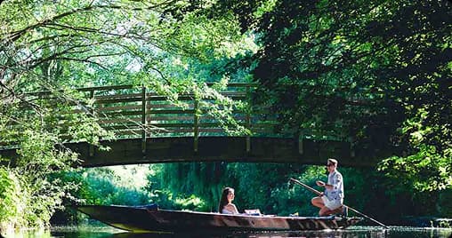 Nature punting tour surrounded by greenery